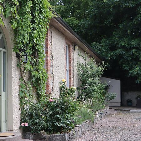 Millvale Cottage Cootehill Dış mekan fotoğraf